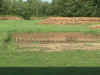 16.jpg (40077 bytes)